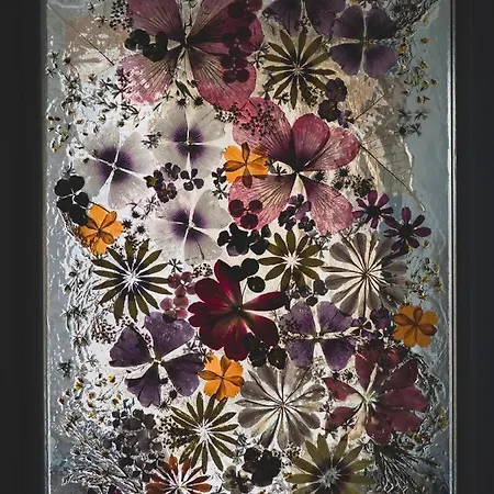 Apartamento Stylish 1bd - Free Private Garage *